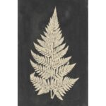 ” Linen Fern I ” by Vision Studio - Chic Decora