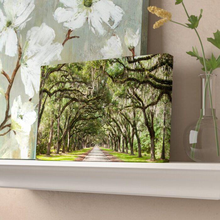 ” Live Oak Tunnel “ - Chic Decora