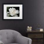 ” Lovely Gardenia ” by Kurt Shaffer - Chic Decora