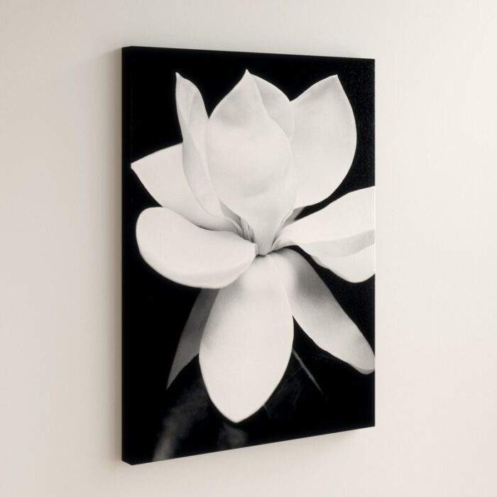 ” Magnolia ” by Michael Harrison - Chic Decora