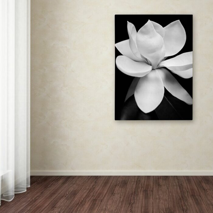 ” Magnolia ” by Michael Harrison - Chic Decora