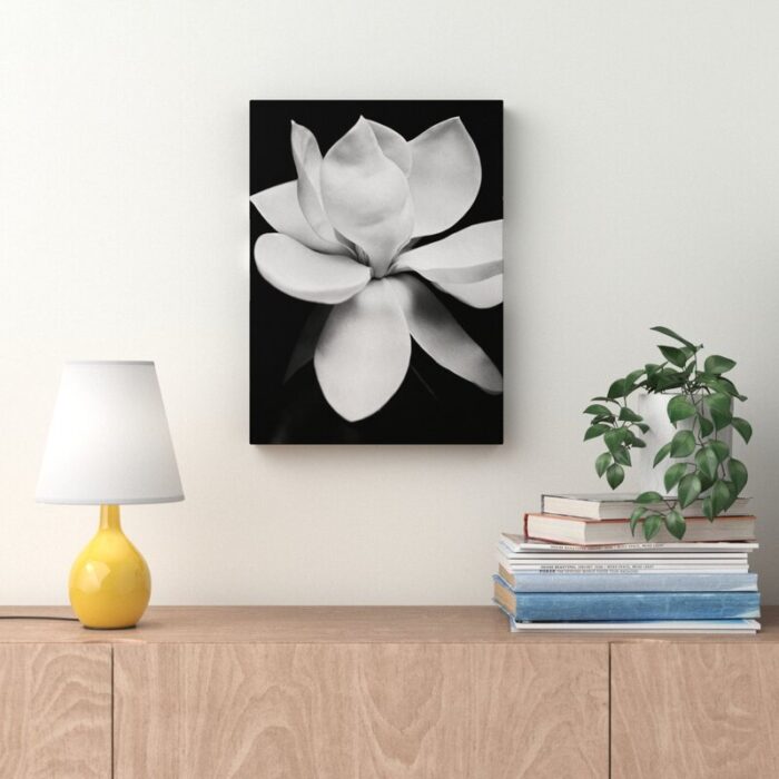 ” Magnolia ” by Michael Harrison - Chic Decora