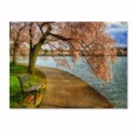 ” Meet Me At Our Bench ” by Lois Bryan - Chic Decora