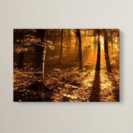 “Morning Light” Photographic Print on Canvas - Chic Decora