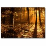 “Morning Light” Photographic Print on Canvas - Chic Decora