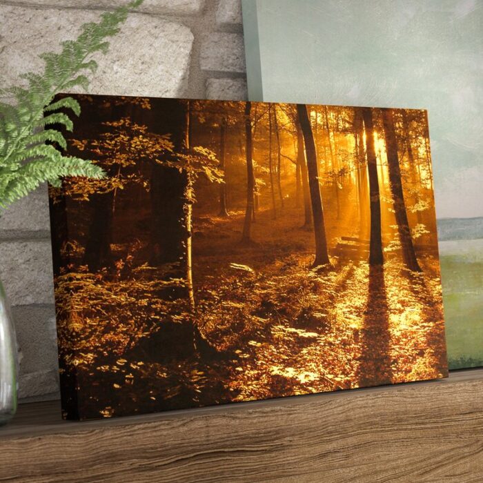 “Morning Light” Photographic Print on Canvas - Chic Decora