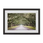 ” Oak Trees With Spanish Moss In Savannah Georgia ” by Cody York - Chic Decora