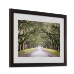 ” Oak Trees With Spanish Moss In Savannah Georgia ” by Cody York - Chic Decora