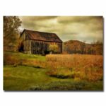 ” Old Barn On Rainy Day ” by Lois Bryan - Chic Decora