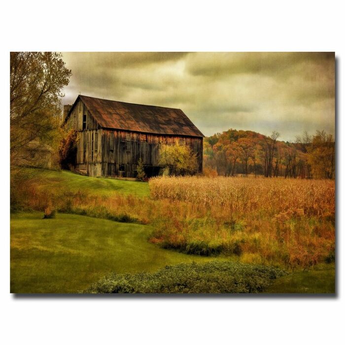 ” Old Barn On Rainy Day ” by Lois Bryan - Chic Decora