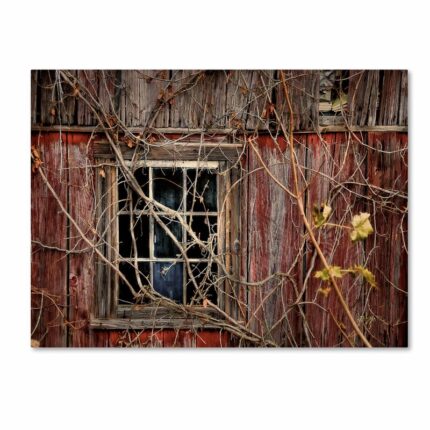 ” Old Barn Window ” by Lois Bryan - Chic Decora