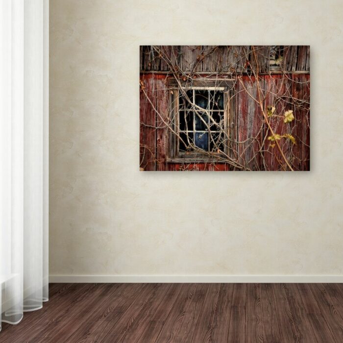 ” Old Barn Window ” by Lois Bryan - Chic Decora