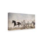 ” Open Range ” by PHBurchett - Chic Decora