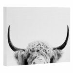 ” Peeking Highland Cow ” by Sisi And Seb - Chic Decora