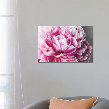 ” Peony Blush ” by 5by5collective - Chic Decora