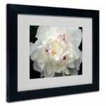 ” Perfect Peony ” by Kurt Shaffer - Chic Decora