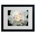 ” Perfect Peony ” by Kurt Shaffer - Chic Decora