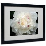 ” Perfect Peony ” by Kurt Shaffer - Chic Decora