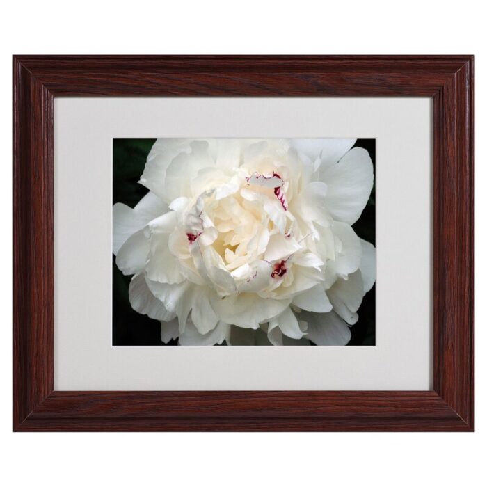 ” Perfect Peony ” by Kurt Shaffer - Chic Decora