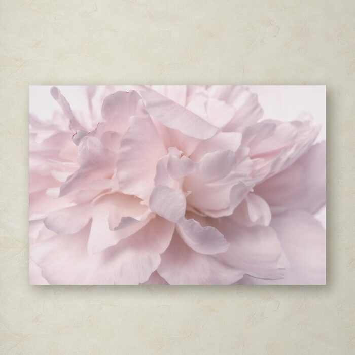 ” Pink Peony Petals II ” by Cora Niele - Chic Decora