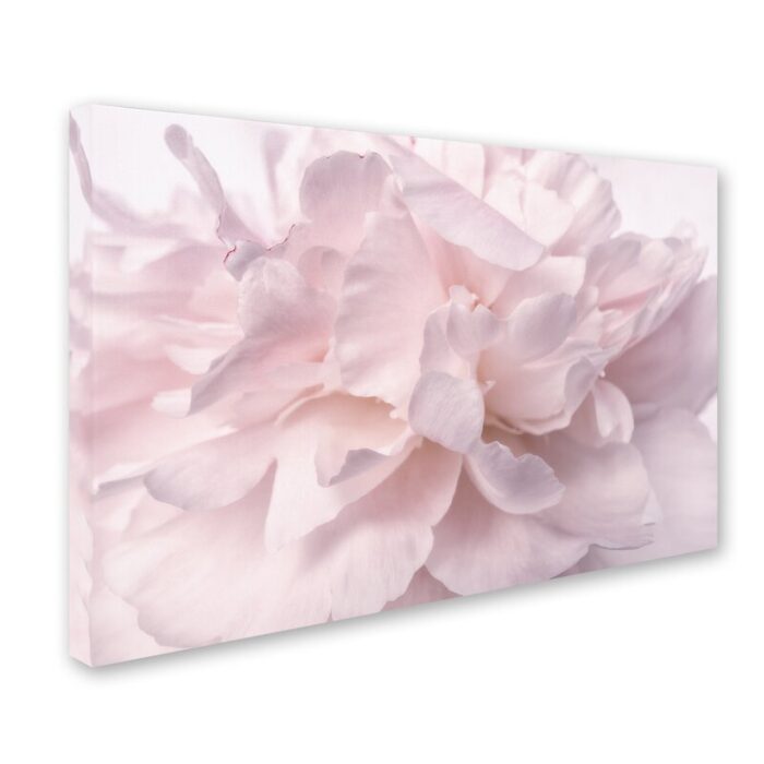 ” Pink Peony Petals II ” by Cora Niele - Chic Decora