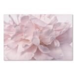 ” Pink Peony Petals II ” by Cora Niele - Chic Decora