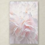 ” Pink Peony Petals IV ” by Cora Niele - Chic Decora