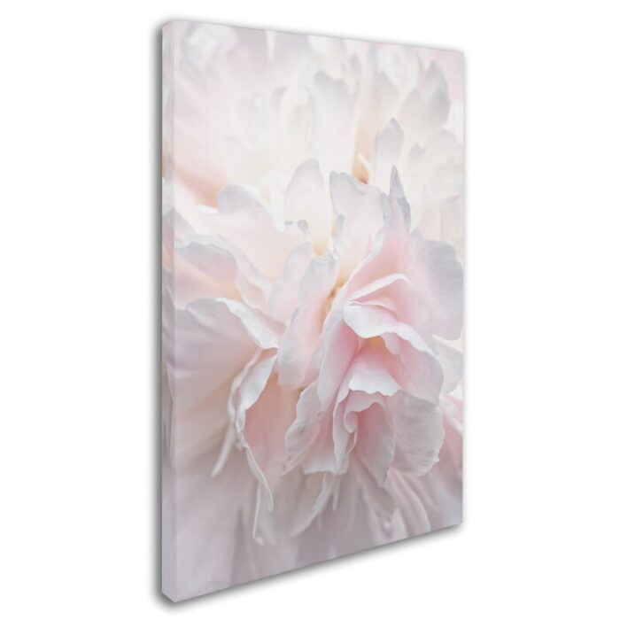 ” Pink Peony Petals IV ” by Cora Niele - Chic Decora