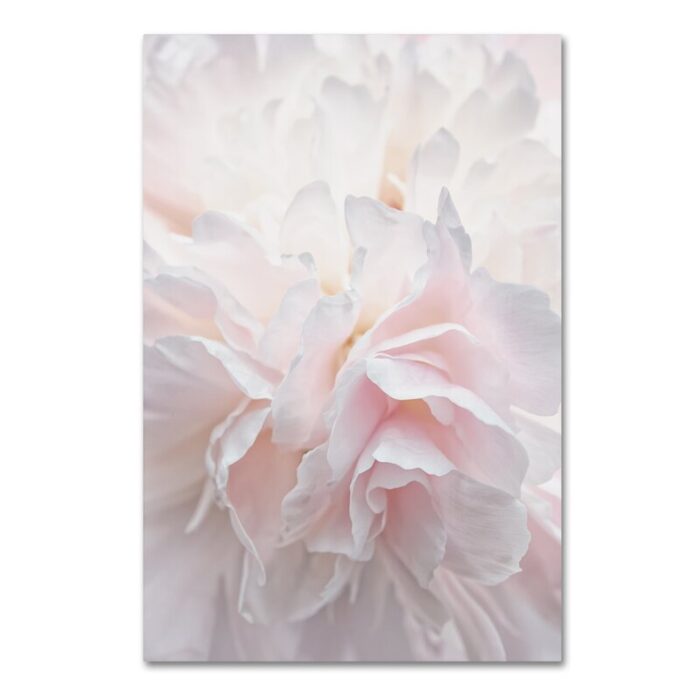 ” Pink Peony Petals IV ” by Cora Niele - Chic Decora