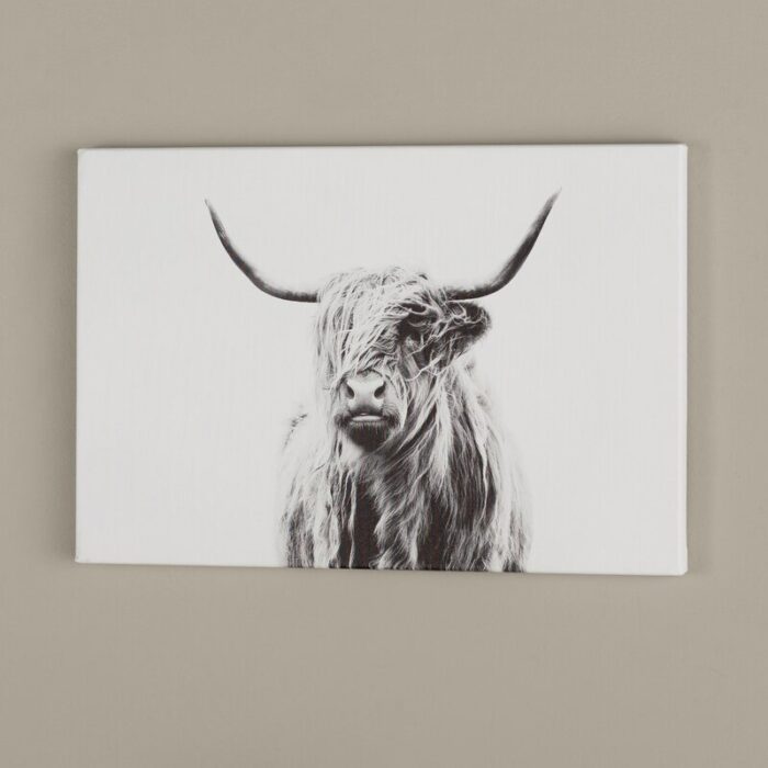 ” Portrait Of A Highland Cow ” by Dorit Fuhg - Chic Decora