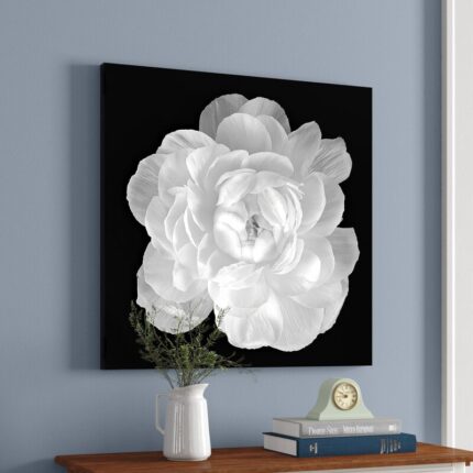 ” Ranunculus ” by Jonathan Shuff - Chic Decora