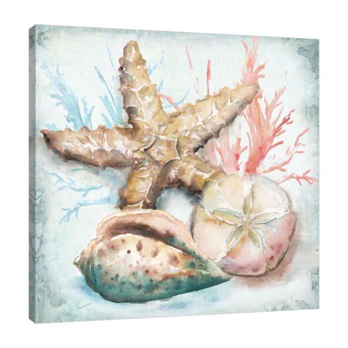 ” Sea Shells II ” by Tre Sorelle Studios - Chic Decora