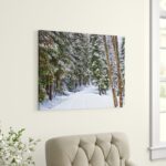 ” Snowy Road In The Forest “ - Chic Decora