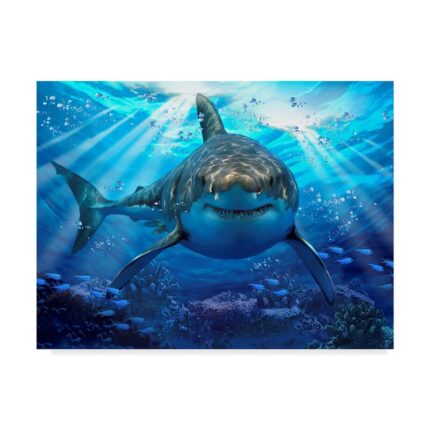 ” Stalking Shark ” by Howard Robinson - Chic Decora