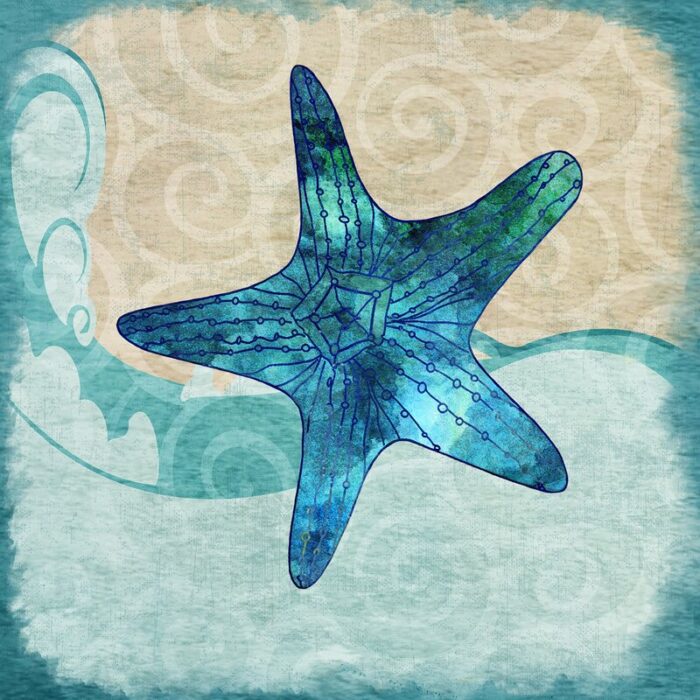 ” Starfish ” by Jill Meyer - Chic Decora