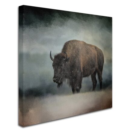 ” Stormy Day Buffalo ” by Jai Johnson - Chic Decora