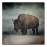 ” Stormy Day Buffalo ” by Jai Johnson - Chic Decora