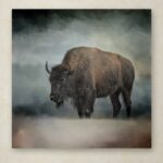 ” Stormy Day Buffalo ” by Jai Johnson - Chic Decora