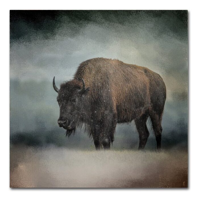 ” Stormy Day Buffalo ” by Jai Johnson - Chic Decora