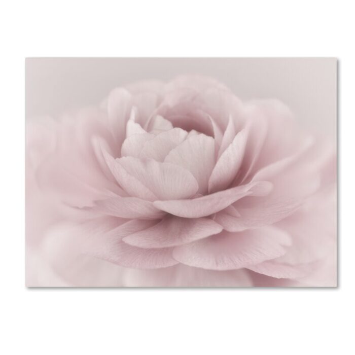 ” Stylisch Rose Pink ” by Cora Niele - Chic Decora