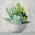 ” Succulent Still Life II ” by Julia Purinton - Chic Decora