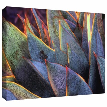 ” Sun Succulent ” by Dean Uhlinger - Chic Decora