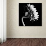 ” Sunflower ” by Michael Harrison - Chic Decora