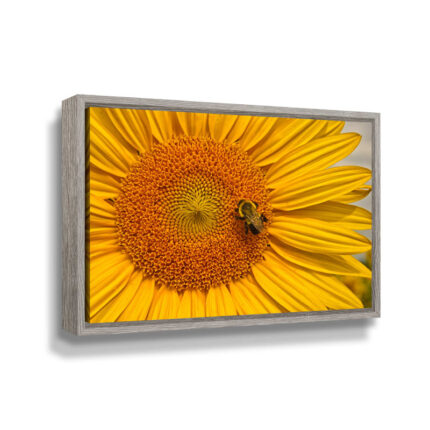 ” Sunflower With Honey Bee “ - Chic Decora