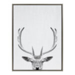 ” Sylvie Deer With Antlers Black And White Portrait ” by Simon Te Tai - Chic Decora