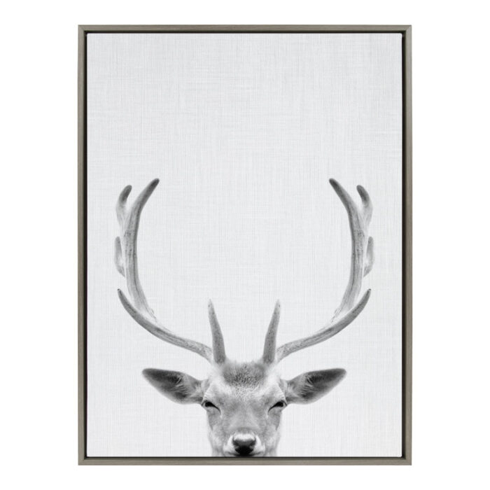 ” Sylvie Deer With Antlers Black And White Portrait ” by Simon Te Tai - Chic Decora