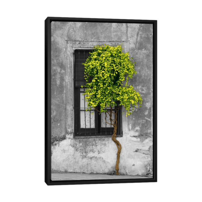 ” Tree In Front Of Window ” by Panoramic Images - Chic Decora