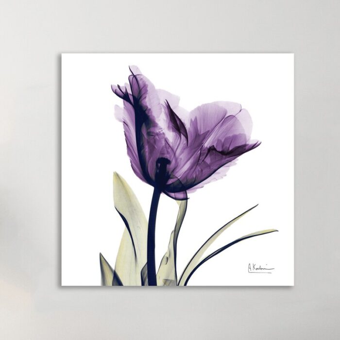 ” Tulip Dream “ - Chic Decora