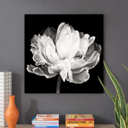 ” Tulipa Double Black And White II By Cora Niele ” by Cora Niele - Chic Decora