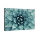 ” Turquoise Succulent “ - Chic Decora